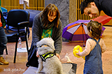 DSCF4753.jpg