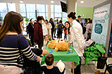 DSCF4884.jpg