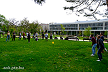 DSCF6808.jpg