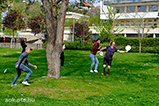DSCF6865.jpg