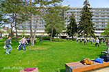 DSCF6867.jpg