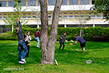 DSCF6878.jpg