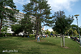 DSCF3088.jpg