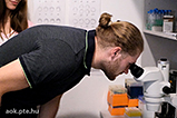 DSCF3325.jpg
