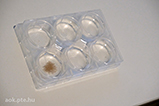 DSCF3329.jpg
