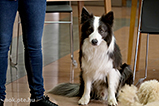DSCF3738.jpg