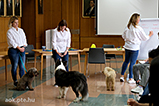 DSCF3740.jpg