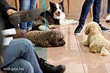 DSCF3742.jpg