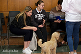 DSCF3747.jpg