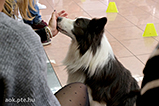 DSCF3752.jpg