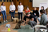 DSCF3756.jpg