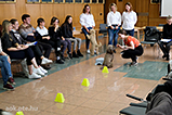DSCF3761.jpg