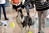 DSCF3766.jpg