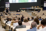 DSCF4029.jpg