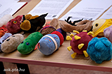 DSCF4421.jpg