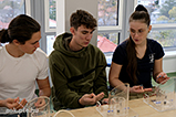 DSCF6137.jpg