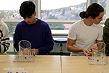 DSCF6138.jpg