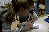 DSCF6165.jpg