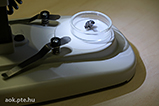 DSCF6168.jpg