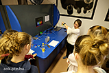 DSCF6170.jpg