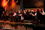 DSCF6398.jpg