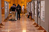 DSCF8086.jpg