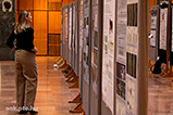 DSCF8088.jpg