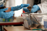 txsk3706_rafa_gyovai_photo.jpg