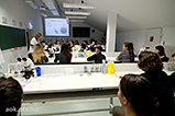 DSCF1127.jpg