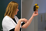 DSCF1131.jpg