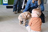 DSCF1390.jpg
