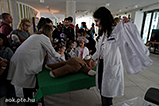 DSCF1466.jpg