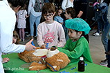 DSCF1472.jpg