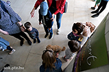 DSCF1474.jpg