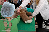 DSCF1477.jpg