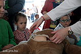 DSCF1478.jpg