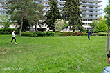 DSCF3414.jpg