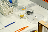 DSCF7196.jpg