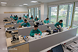 DSCF7198.jpg