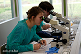 DSCF7226.jpg