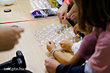 DSCF8132.jpg
