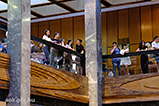 DSCF8209.jpg