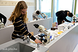 DSCF6388.jpg