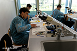 DSCF6396.jpg