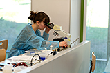 DSCF6436.jpg