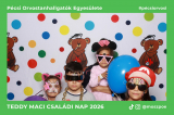 teddy_maci_20260314_124342_865_picme.jpg