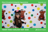 teddy_maci_20260314_130606_352_picme.jpg