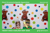 teddy_maci_20260314_132931_880_picme.jpg