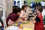 DSCF7797.jpg