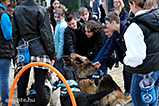 DSCF7828.jpg